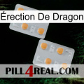 Érection De Dragon 25